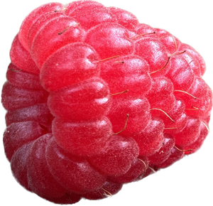 Raspberry